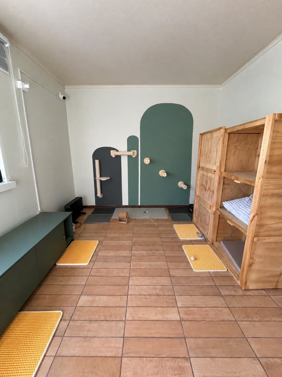 Instalaciones del hotel para gatos en Paslan