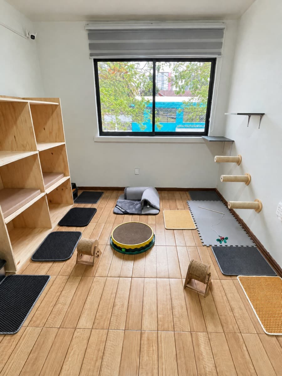 Instalaciones del hotel para gatos en Paslan