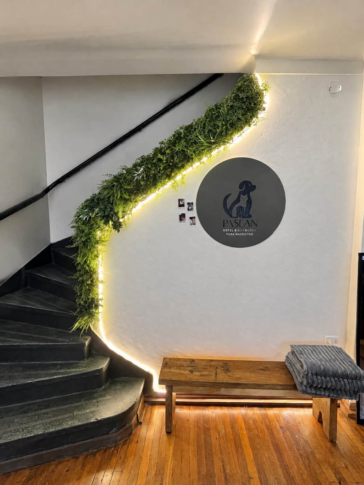 Perro golden retriever descansando en una cama baja de madera, junto a un estante donde un gato observa, en un salón de estilo japandi con el letrero PET HOTEL
